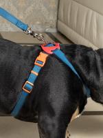 Шлейка для собак / Шлейка 'Легко Надеть' с защитным механизмом от перекручивания, цвет темно - синий, размер L.
