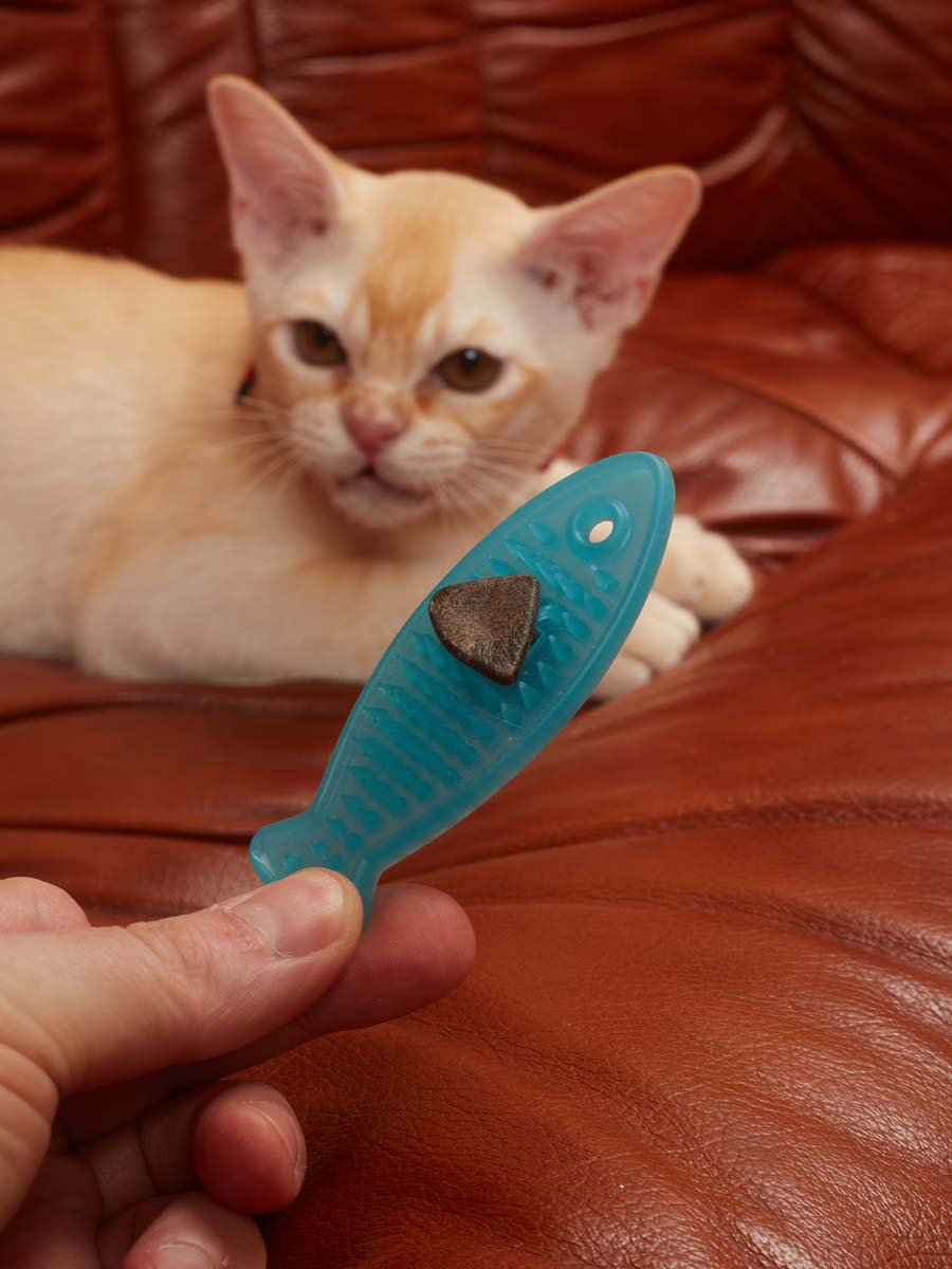 Игрушка с мататаби для чистки зубов (рыбка) - С мататаби/кошачьей мятой и  игрушки для кошек