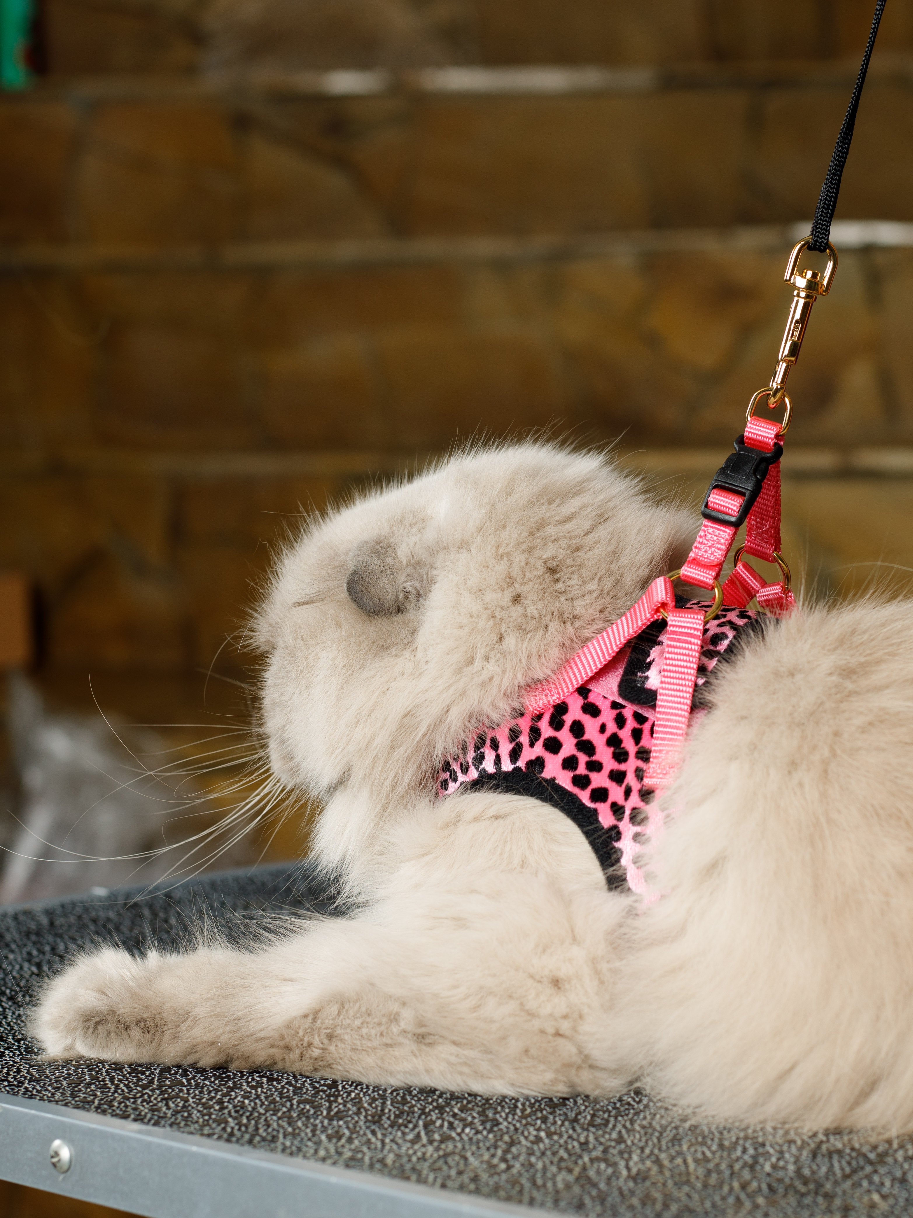 Анатомическая шлейка для кошек с золотым покрытием и поводком в наборе.  Размер 3S. Розовый - Наборы и амуниция для кошек