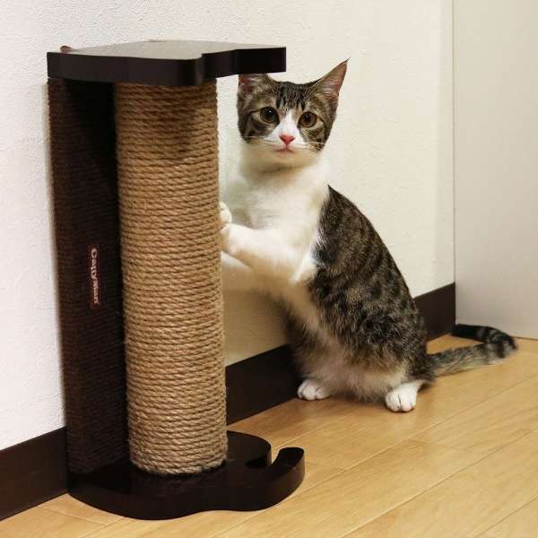 Джутовая когтеточка-трансформер для кошек (вертикальная и горизонтальная) -Другое и игрушки для кошек