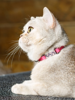 Безопасный ошейник для кошек 'Алмазные Подвески' с системой защиты от удушения, розовый, размер 2S