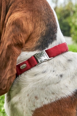 Ошейник для активных и серьёзных собак воздушный, размер L, цвет - красный.