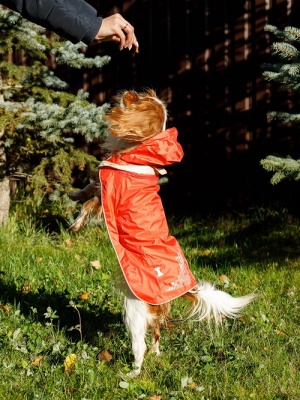 Дождевик спортивная курточка трансформер светоотражающая. Размер S. Цвет оранжевый. Унисекс