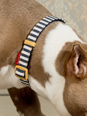 Ошейник для собак джинсовый Английский стиляга с силиконовой защитой и двойным креплением, размер M (цвет: синий)