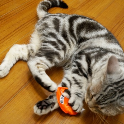 Отборная кошачья мята в виде игрушки-амулета