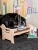 Миска для собак цветная на резиновой подложке Размер S. Голубая