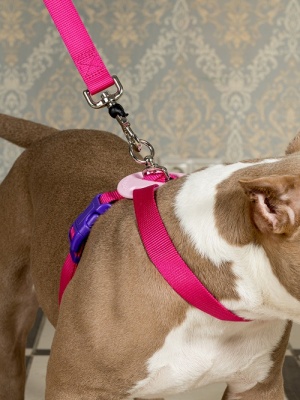 Поводок для собак с защитой на карабине и мягкой анатомической вкладкой для рук, серия 40 оттенков радуги, розовый, размер SS