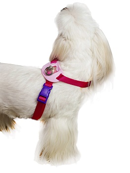 Шлейка для собак 'Легко Надеть' с защитным механизмом от перекручивания. Размер S. Розовая