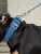 Нейлоновый ошейник DAISKI для собак, синий, размер S
