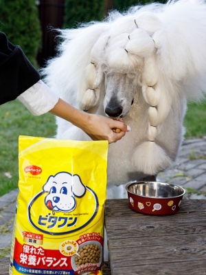 Полнорационный корм для собак, 2 кг