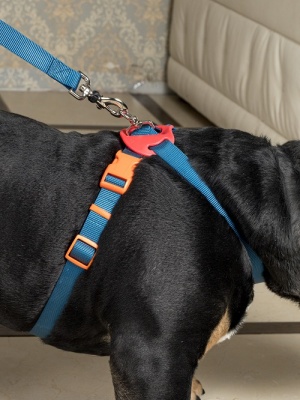 Поводок для собак со стоппером и мягкой анатомической вкладкой для рук, серия 40 оттенков радуги, тёмно-синий, размер M