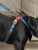 Поводок для собак со стоппером и мягкой анатомической вкладкой для рук, серия 40 оттенков радуги, размер SS