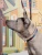 Поводок-стропа для собак DAISKI с механизмом защиты от срыва, синий, размер L