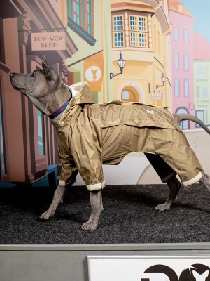 Спортивный дождевик-комбинезон с усиленным светоотражением для активных собак. Размер XL. Цвет бежевый хаки. Унисекс