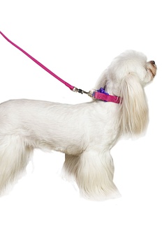 Поводок для собак со стоппером и мягкой анатомической вкладкой для рук, серия 40 оттенков радуги, розовый, размер M