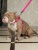 Поводок для собак со стоппером и мягкой анатомической вкладкой для рук, серия 40 оттенков радуги, розовый, размер S