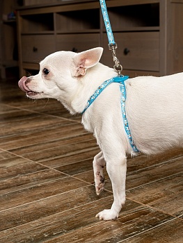 Шлейка с поводком для собак ЛЕГКО НАДЕТЬ с защитным механизмом от перекручивания с силиконовым креплением