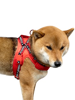 Шлейка Профессиональная Handler для собак с активным балансером красная, размер L,красный