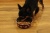 Миска для собак и кошек на резиновой подложке, размер SS. Цвет коричневый.