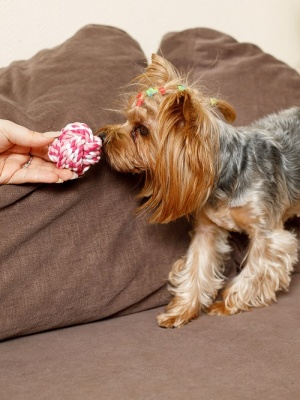 Игрушка плетёный мяч для собак, клубника, S