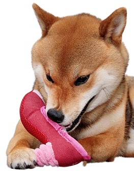 Интеллектуальная игрушка для собак в виде туфельки