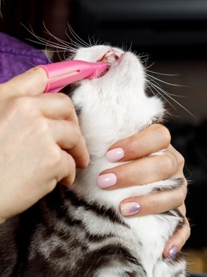 Зубная щетка анатомическая для собак средних и крупных пород с ручкой для снятия налета, цвет розовый.