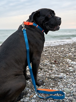Поводок для собак с защитой на карабине и мягкой анатомической вкладкой для рук, серия 40 оттенков радуги, темно-синий, размер L