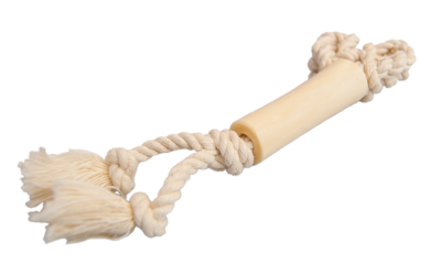 Мозговая кость Дикого быка (статичная веревка)