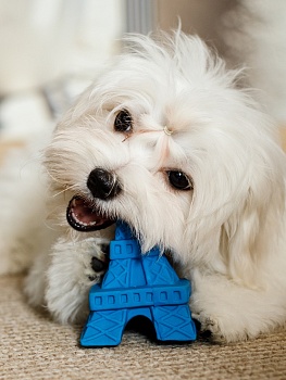 Латексная игрушка для собак в виде Эйфелевой башни