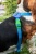Шлейка для собак 'Легко Надеть' с защитным механизмом от перекручивания, размер М, голубой