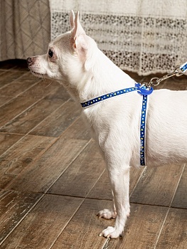 Шлейка с поводком ЛЕГКО НАДЕТЬ с защитным механизмом от перекручивания из натурального войлока для собак до 6 кг, синий