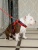 Шлейка-жилетка с Балансером и функцией вентиляции для активных собак, размер SS, красный