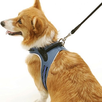 Шлейка для собак / Шлейка-жилетка с балансером на основе жидкой кожи и натурального войлока, размер S, цвет синий