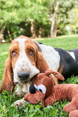 Подушка-антистресс в форме собаки