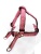 Шлейка для собак / Шлейка ультрамягкая в стиле эпохи наполеоновского амира, размер M, цвет розовый.