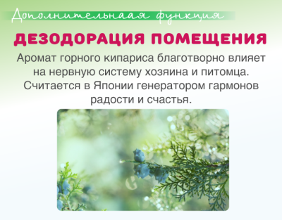Наполнитель с кипарисом (аромат горного леса), 5 л